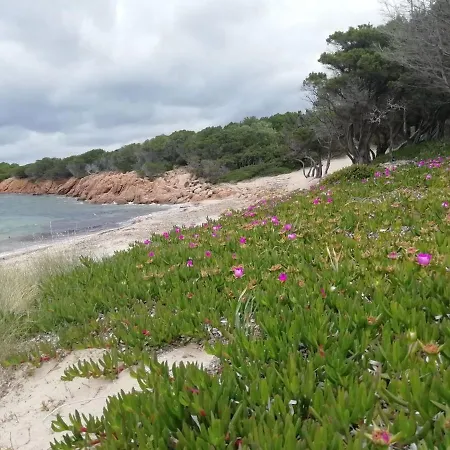 Costa Smeralda Pevero Golf